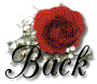 redroseback.bmp (8254 bytes)